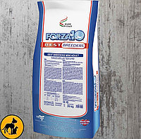 Forza Adult All Breed, полнорационный корм для взрослых собак мелких пород с ягненком и рисом, 20 кг