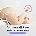Детские трусики Bby Kitty. XL (12-17 кг), 44 шт., фото 5