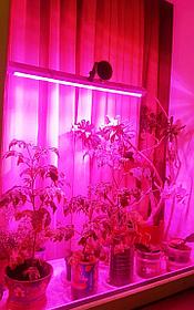 Терезе алды тақтайына арналған фитолампа 90 см сорғыштағы жарықтығы жоғары екі қатарлы