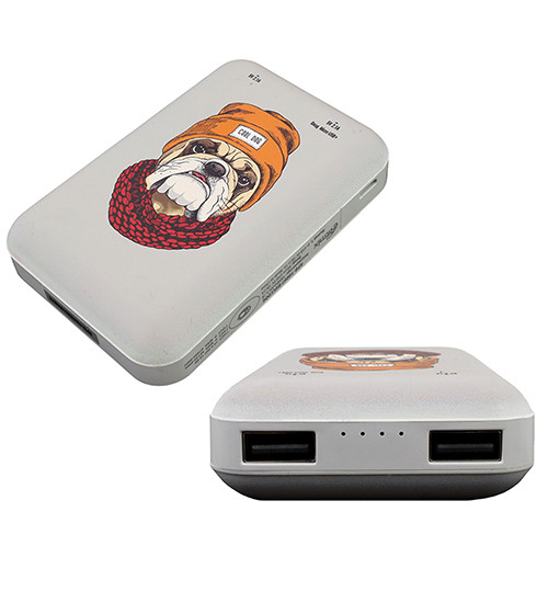 Аккумуляторная USB зарядка Ritmix RPB-10007 Bulldog, 10000 mAh - фото 1 - id-p104306409