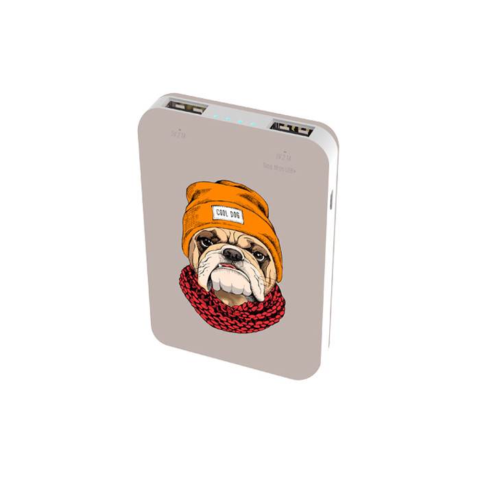 Аккумуляторная USB зарядка Ritmix RPB-10007 Bulldog, 10000 mAh - фото 2 - id-p104306409