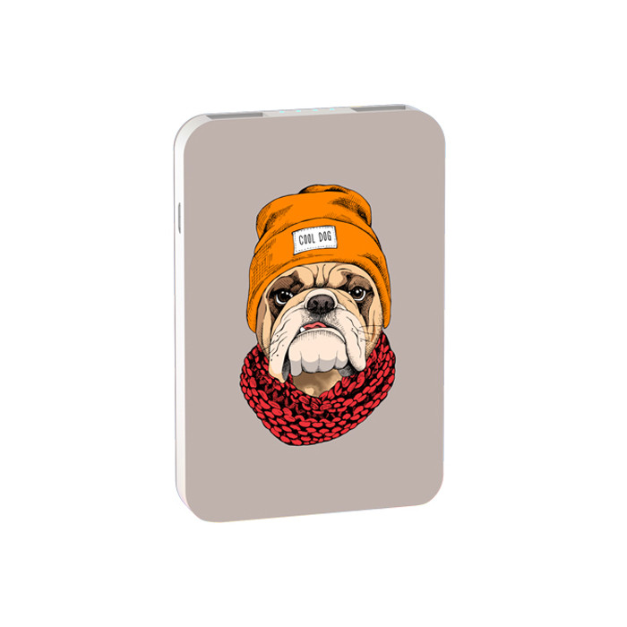 Аккумуляторная USB зарядка Ritmix RPB-10007 Bulldog, 10000 mAh - фото 3 - id-p104306409