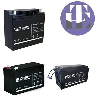 Аккумуляторная батарея Security Force