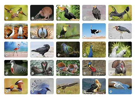 Олар нені сиқырларына салмайды? Олар нені сиқырларына салмайды?