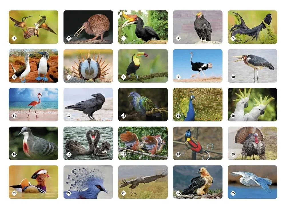 Олар мас қызды желі арқылы жыныстық қатынасқа түспекші. Мас письки зәр шығаруда