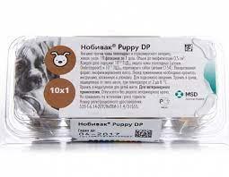 Nobivac Puppy DP (Нобивак) (id 104354040)