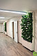 Живая стена из модулей с живыми растениями на стену- қабырғасында тірі өсімдіктер бар, фото 2