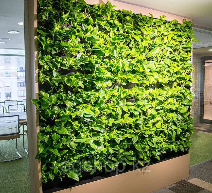 Живая стена из модулей с живыми растениями на стену- қабырғасында тірі өсімдіктер бар