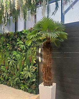 Қынапта ақ түсті бөлініс бар