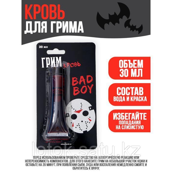 Кровь для грима 30 мл - фото 2 - id-p104369496