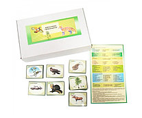 Модель-аппликация "Типичные биоценозы"