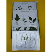 Гербарий «Культурные растения. 20 видов.»