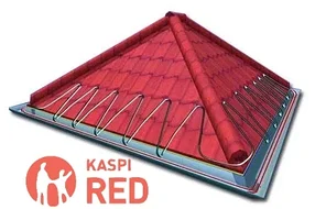 Системы антиобледенения и снегостаивания