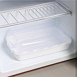 Контейнер-органайзер для холодильника, 30х20х10см, фото 2