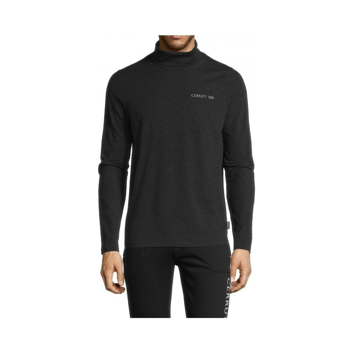 Cerruti мужская кофта