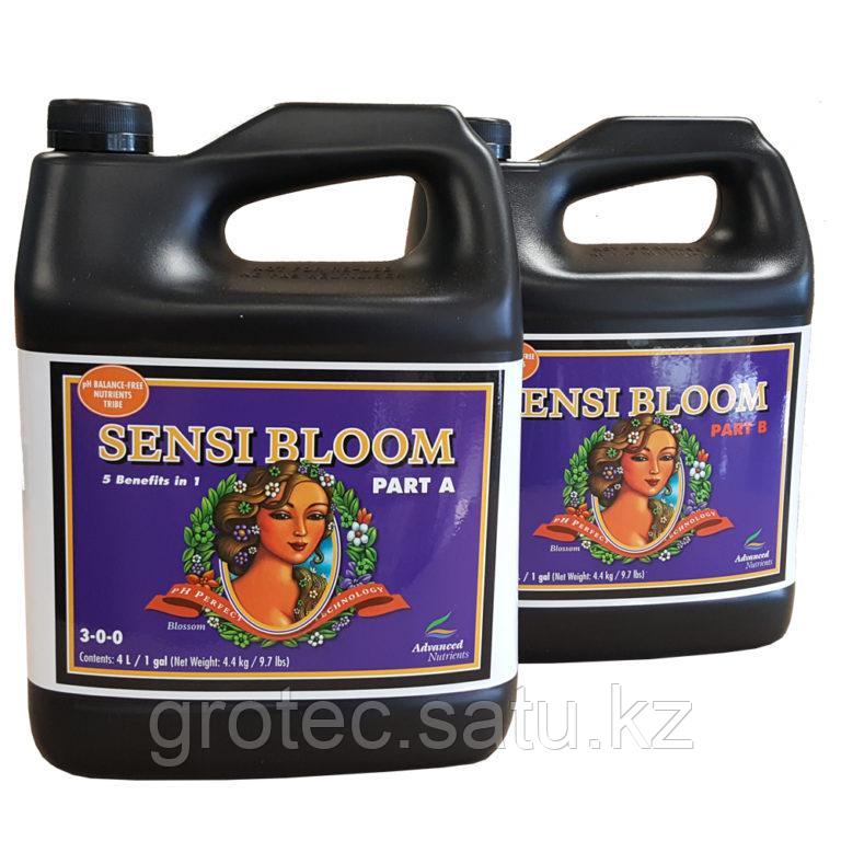 PH Perfect Sensi Bloom Parts A & B 10л - фото 1 - id-p104416001