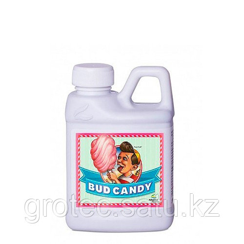 Advanced Nutrients Bud Candy 250ml - фото 1 - id-p104416094