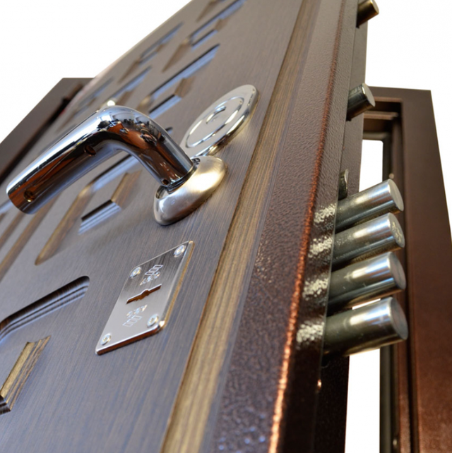 металлические двери в дом