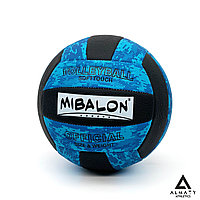 Цветной волейбольный мяч