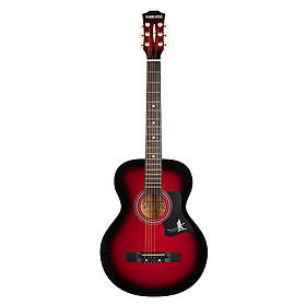 Акустическая Гитара Ronnie WOOD 38 RDS