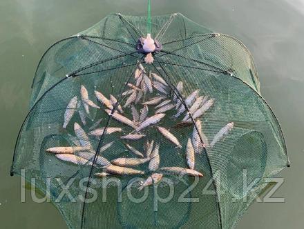 Сетка для рыбы - Усовершенствованная Верша-паук (Рыболовная сеть)