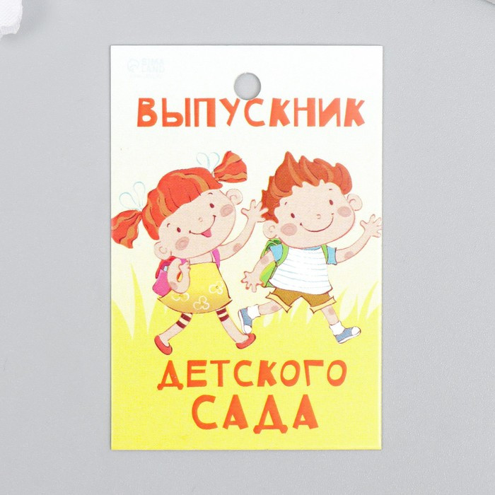 Бирка "Ребята" 4х6 см