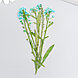 Сухоцвет "Луговой цветок" голубой  h=5-8 см, фото 3