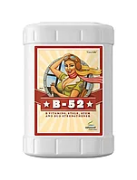 Advanced Nutrients B-52 5L