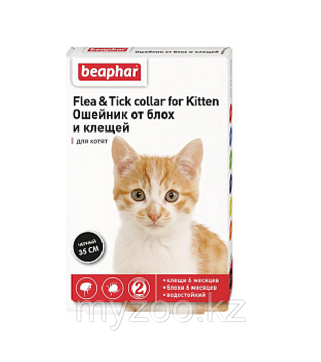 Ung. Flea and T.C. for Kitten 35 cм - Ошейник для котят черн - фото 1 - id-p104472966