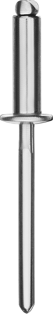 Нержавеющие заклепки Inox, 3.2 х 8 мм, 1000 шт, Kraftool - фото 1 - id-p104478384