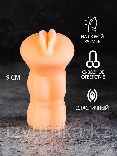 шеңберде мас