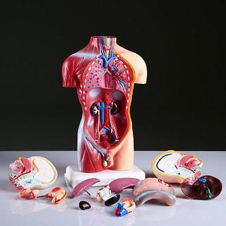 Порно компиляция сперму ішіндегі компиляция