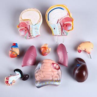 Кирилл Ганиннің порно театрының қойылымдары