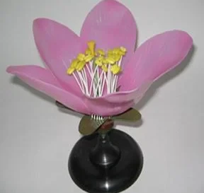 Модель "Цветка персика" - фото 1 - id-p104569761