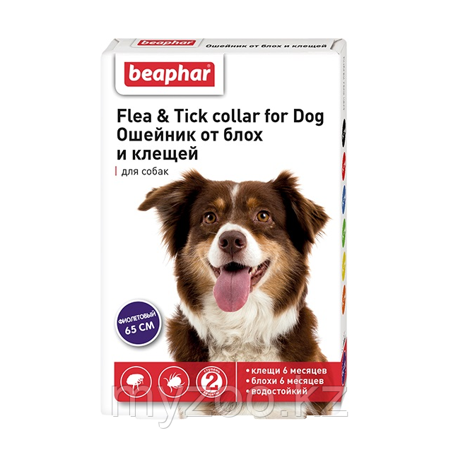 FLC Dog (Diaz Dog) Ошейник от блох и клещей для собак фиолетовый, 65 см - фото 1 - id-p104473043