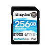 Карта памяти Kingston SDG3/256GB SD 256GB, фото 2