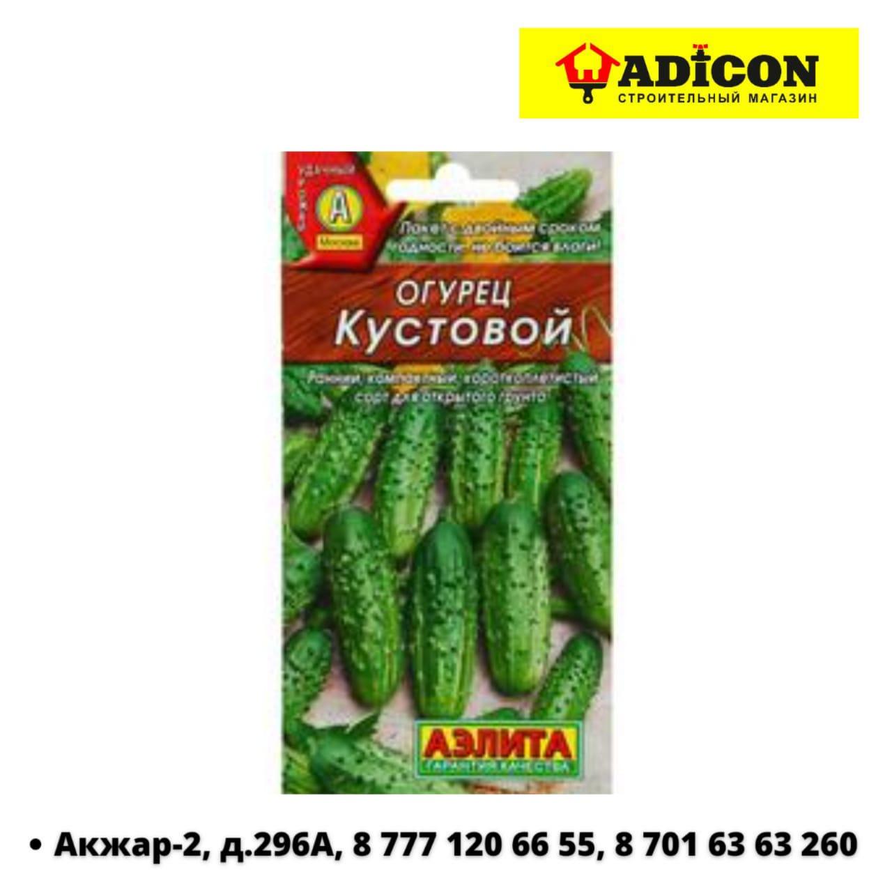 Купить Семена Огурцов Кустовой