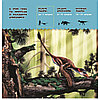 «Динозавры. Моя первая энциклопедия» Кэтрин Д. Хьюз, фото 9