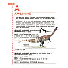 «Динозавры. Полный иллюстрированный словарь», фото 9