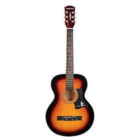 Ronnie WOOD 38 SB акустикалық гитара