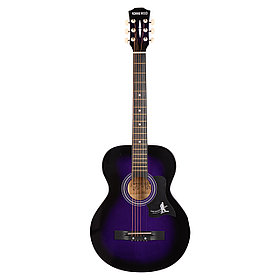 Ronnie WOOD 38VTS акустикалық гитара