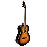 Акустическая гитара  Agnetha AKG -E130, фото 3