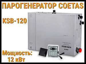 Парогенератор c пультом управления Coetas KSB-120 (Мощность 12 кВт, объем 6-13 м3)