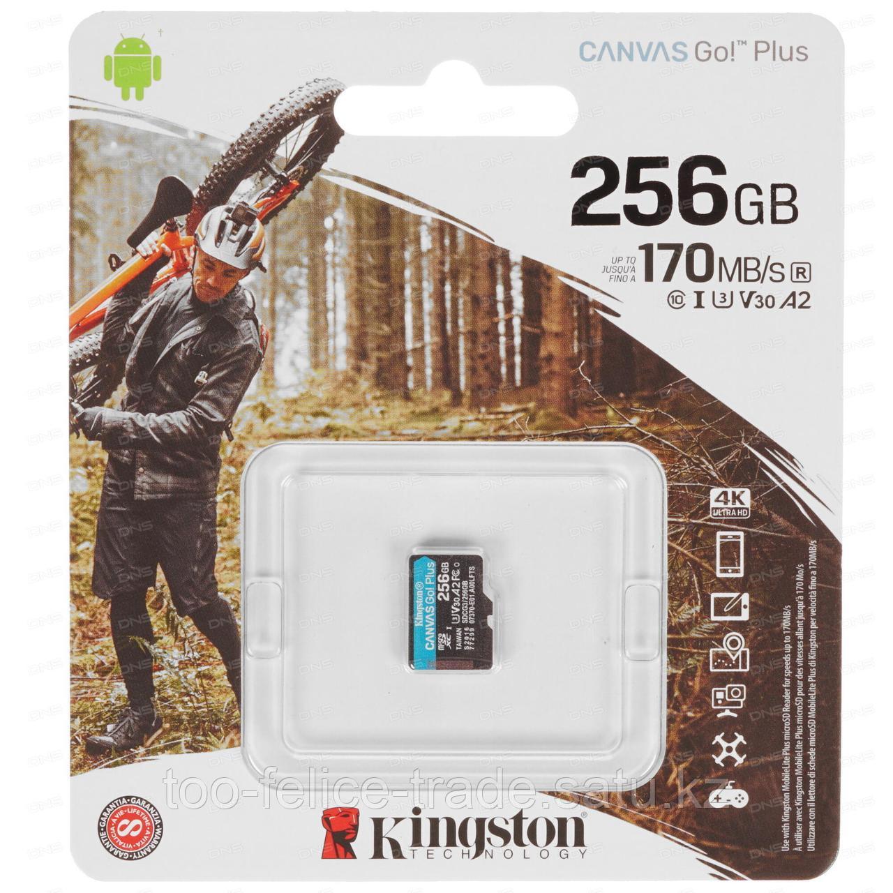 Карта памяти Kingston 256GB microSDXC Canvas Go Plus 170R A2 U3 V30 Card, без адаптера, SDCG3/256GBSP