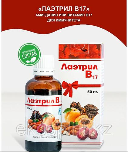 ЛАЭТРИЛ - В17. ЧАСТЬ 2