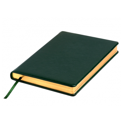 Ежедневник датированный А5, 2024 SILVANO зеленый с золотым/серебряным срезом, фото 2