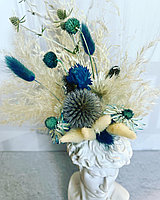 Композиция в голове у Давида, букет из сухоцветов ,размер 20-25 см ,размах 22-26 см ,цвет белый и синий