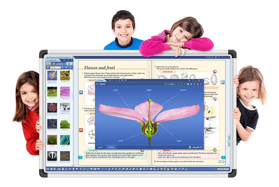 Образовательное презентационное программное обеспечение MozaBook - фото 1 - id-p104832183
