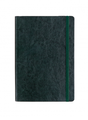 Записная книжка А5, AGNES new эластичная модель на резинке, зеленый