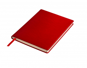 Записная книга А5 формата, WINNER в линию, красный